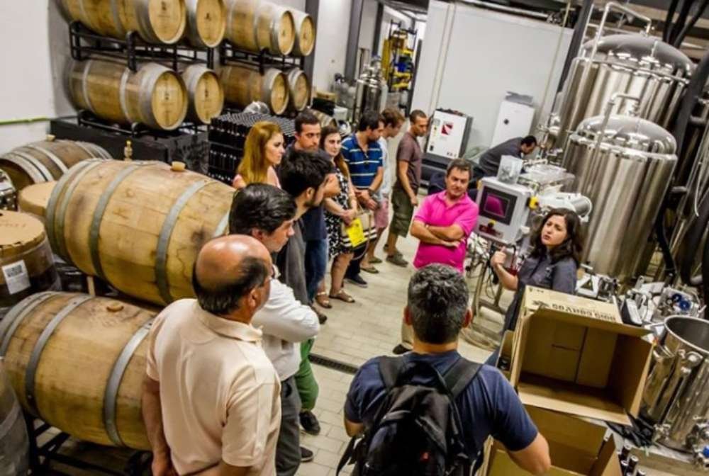 6 Craft Beer Bars Lisbon 14 Lisbon Beer Tours