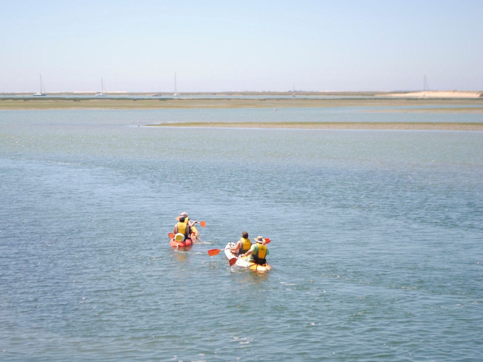 Kayak Tour Faro Book With The Best No1 Faro