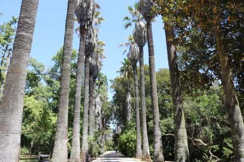 Awesome 10 Things To Do In Belém, Beautiful Lisbon 11 10 Things To Do In Belem, Lisbon