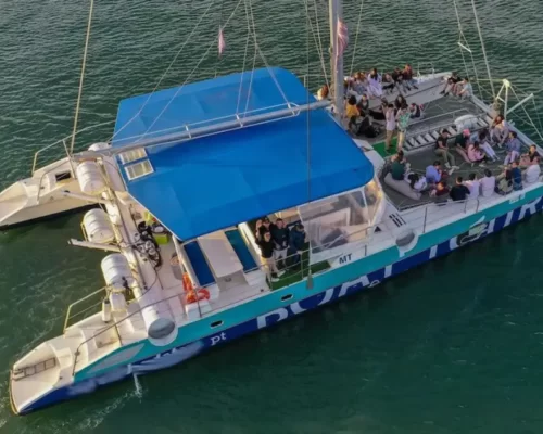 Large Corporate Catamaran Lisbon
